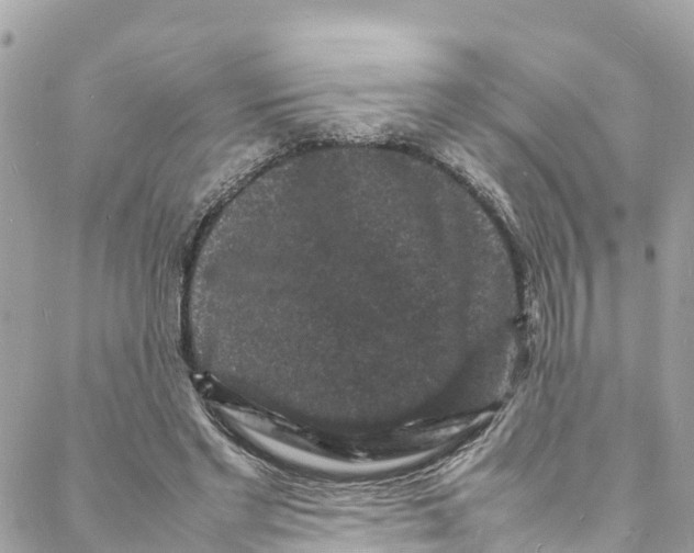 X0000088030493200706011353