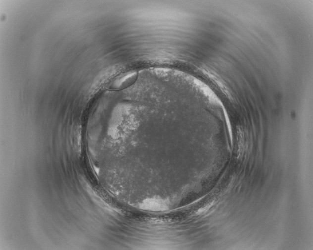 X0000088030494200706011353