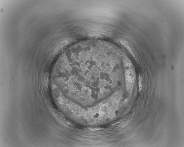 X0000088030495200706011353