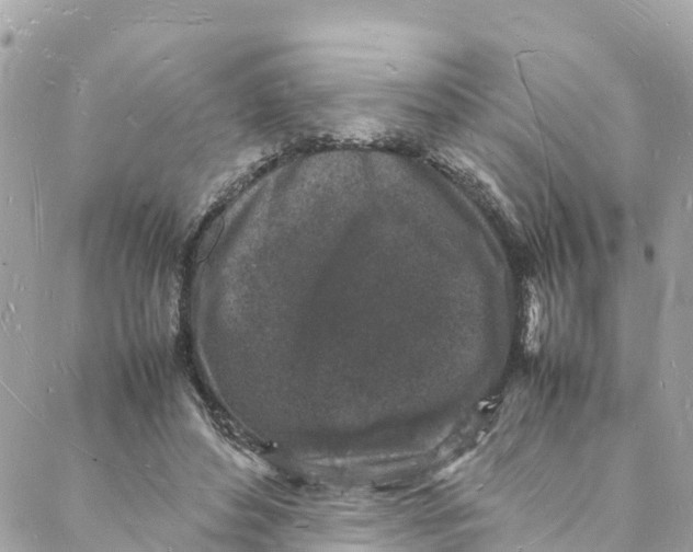 X0000088030496200706011353