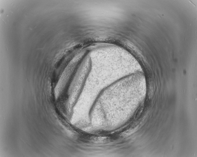 X0000088030497200706011353