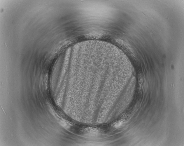 X0000088030498200706011353