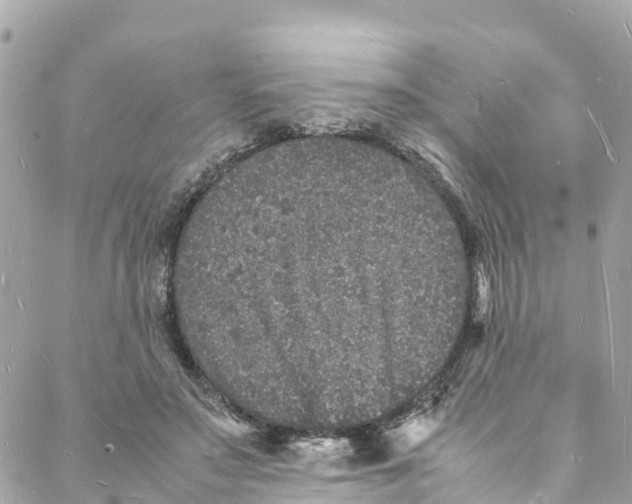 X0000088030499200706011353