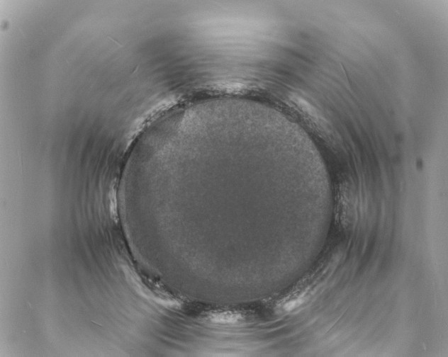 X0000088030500200706011353