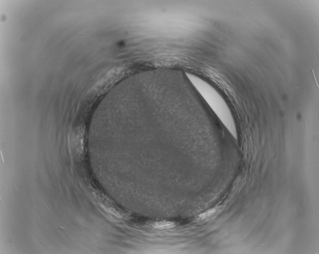 X0000088030501200706011353