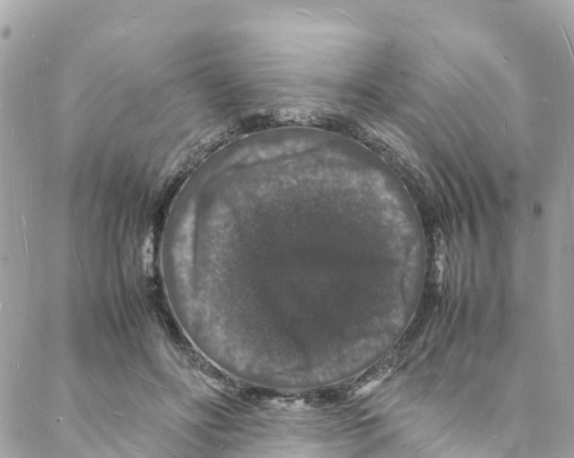 X0000088030502200706011353