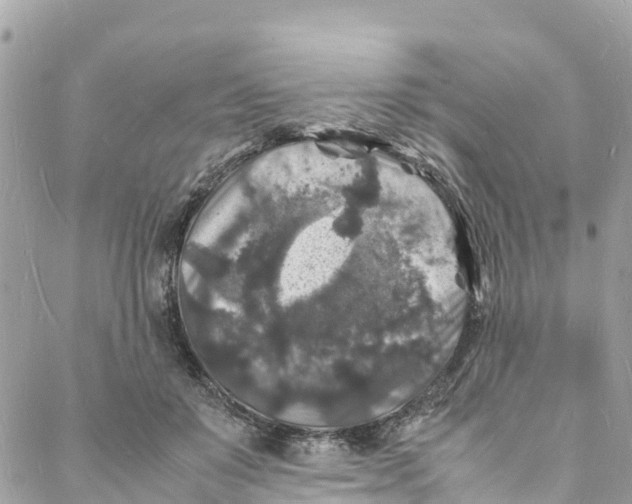 X0000088030503200706011353