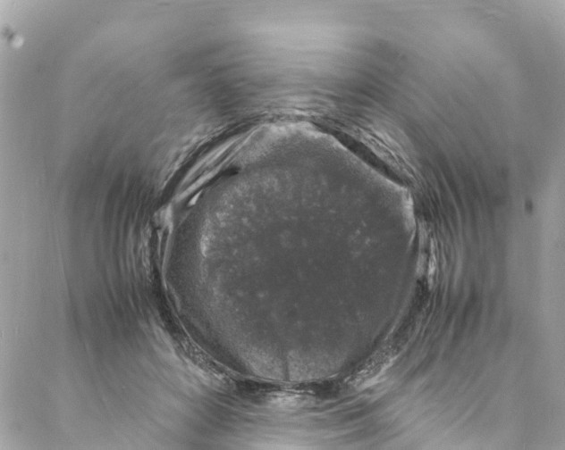 X0000088030504200706011353