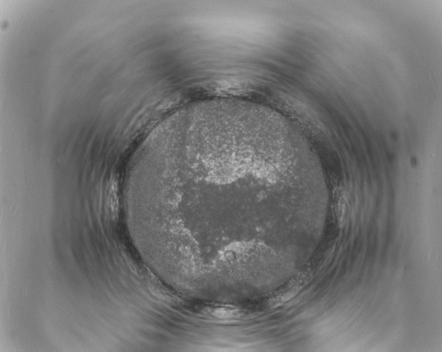 X0000088030506200706011353