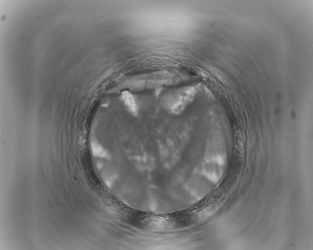 X0000088030507200706011353