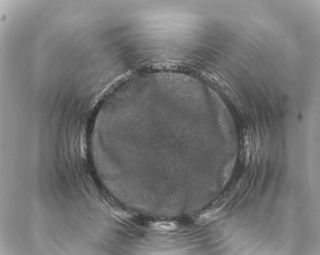 X0000088030508200706011353