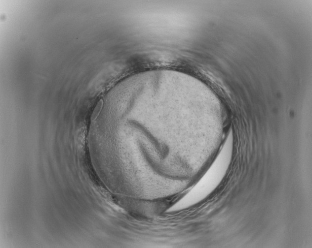 X0000088030509200706011353