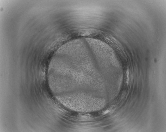 X0000088030510200706011353