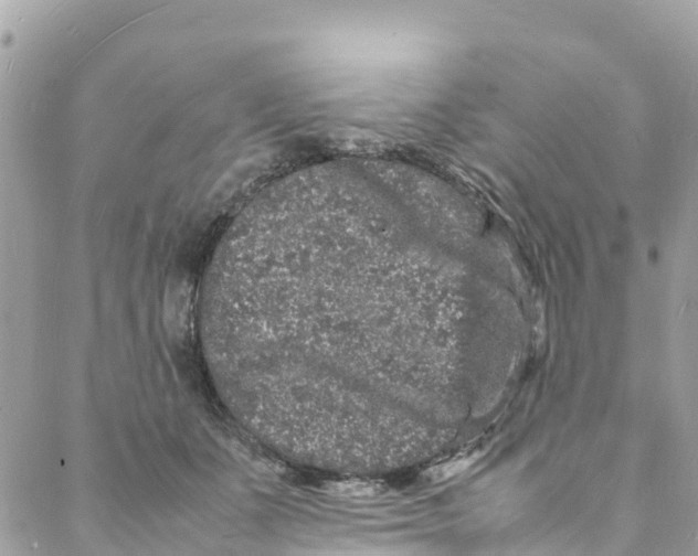 X0000088030511200706011353