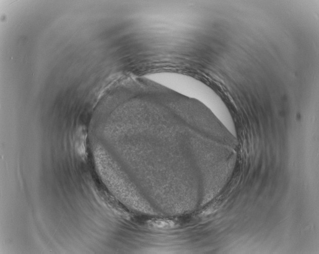 X0000088030512200706011353