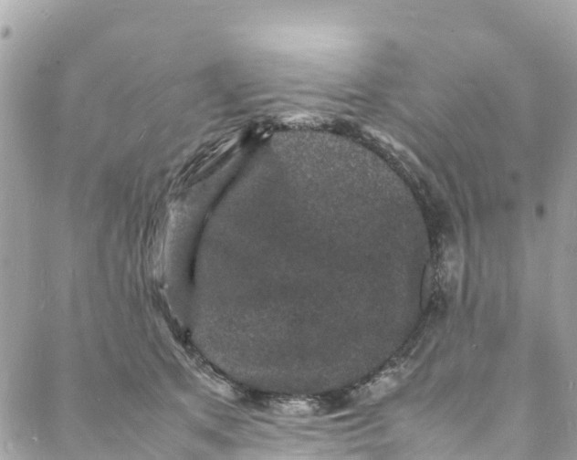 X0000088030513200706011353