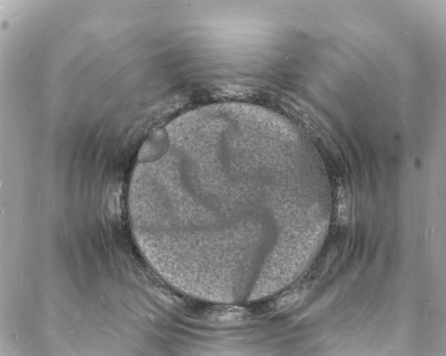 X0000088030514200706011353