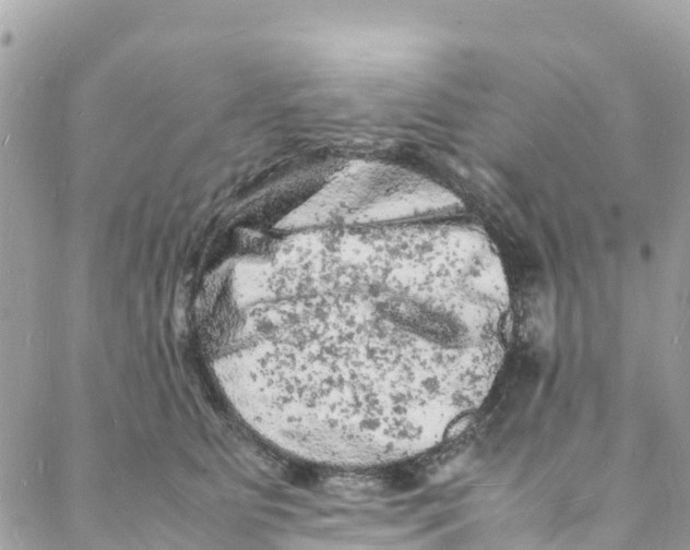 X0000088030515200706011353