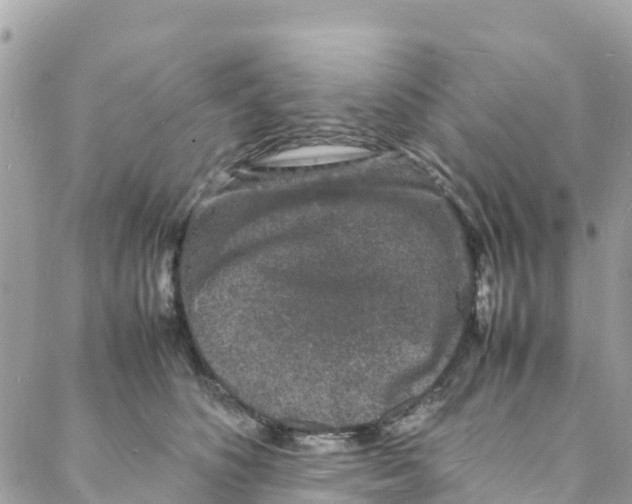 X0000088030516200706011353