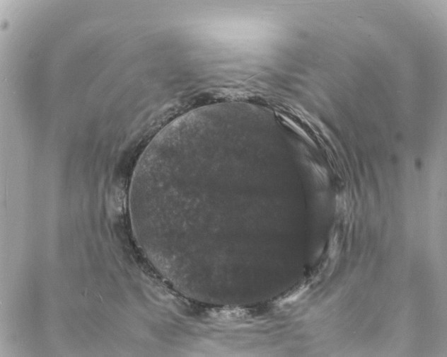 X0000088030517200706011353