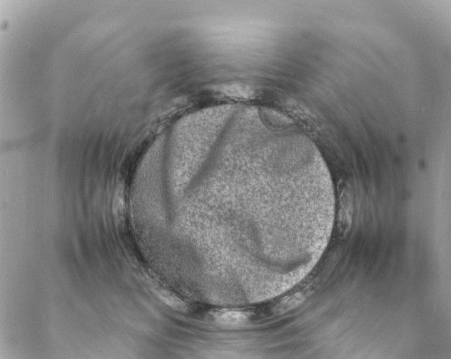 X0000088030518200706011353