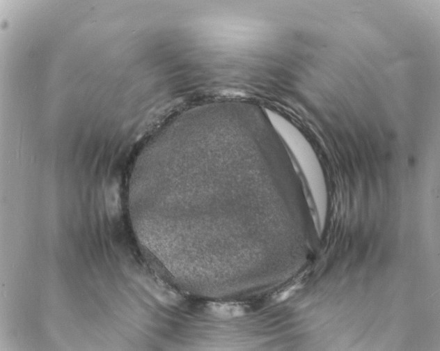 X0000088030520200706011353