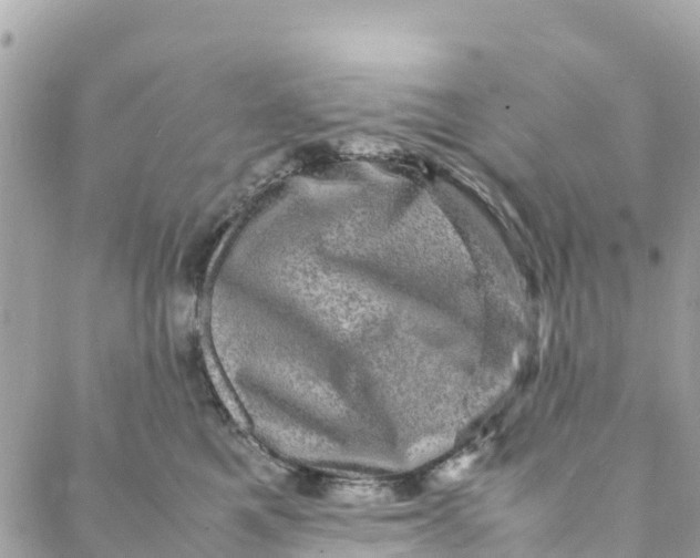 X0000088030521200706011353