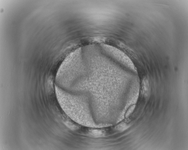 X0000088030522200706011353