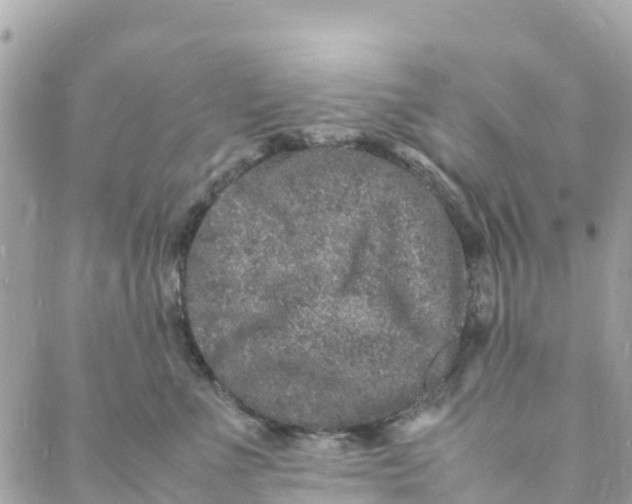 X0000088030523200706011353