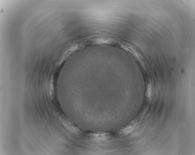 X0000088030524200706011353