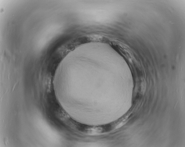 X0000088030525200706011353