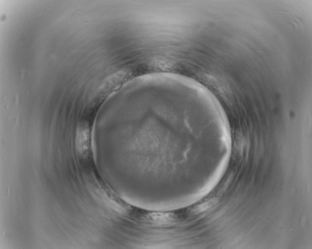 X0000088030526200706011353