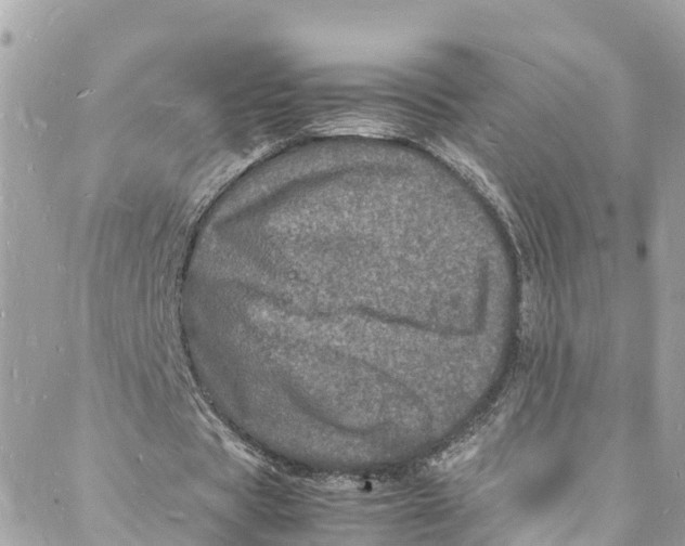 X0000088030529200706011352