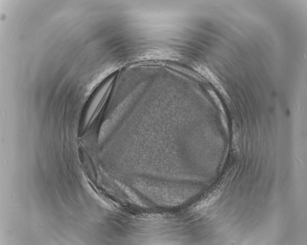 X0000088030530200706011352