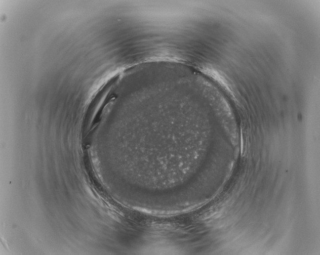 X0000088030531200706011352