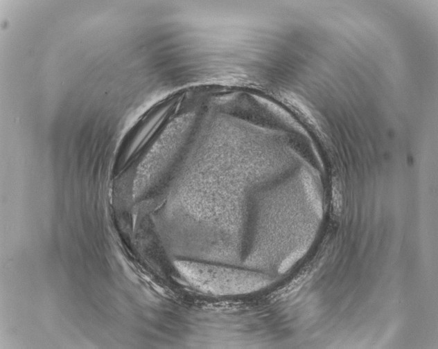 X0000088030532200706011352