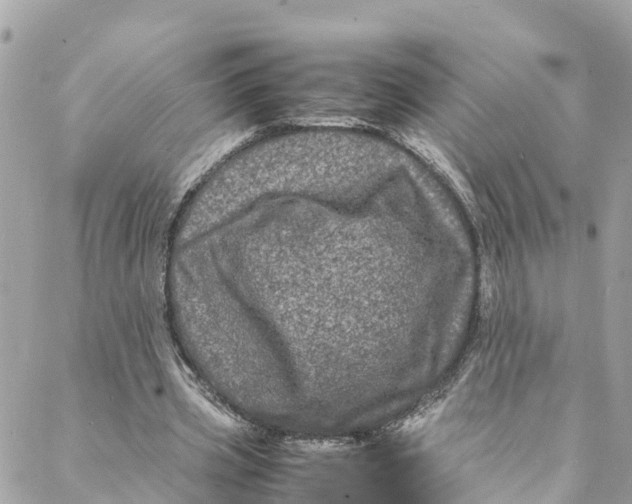 X0000088030533200706011352