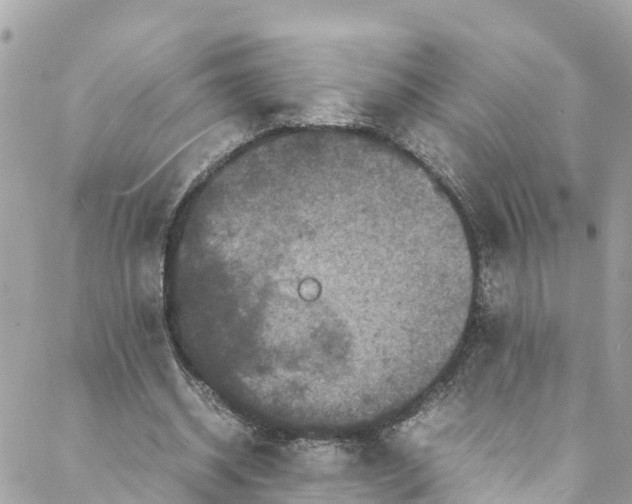 X0000088030534200706011352