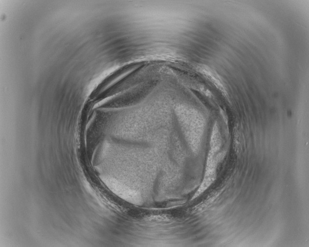 X0000088030536200706011352