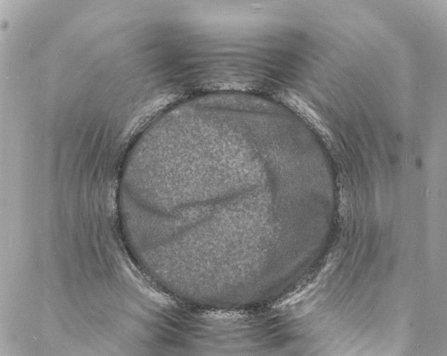 X0000088030537200706011352