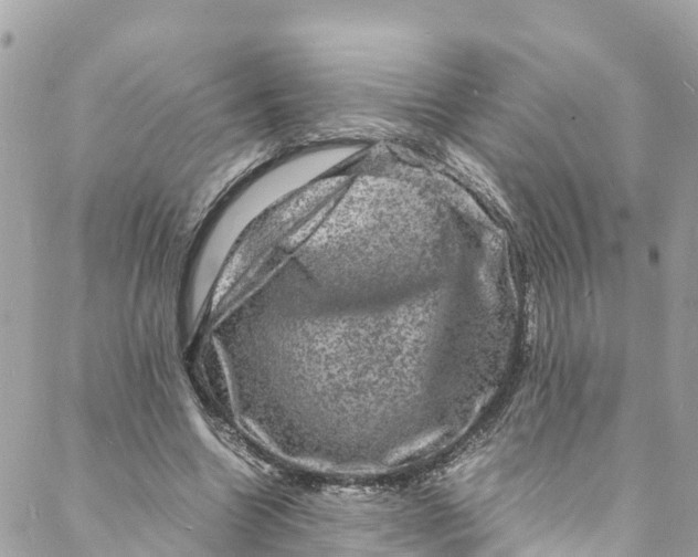 X0000088030538200706011352