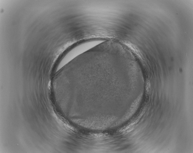 X0000088030540200706011352