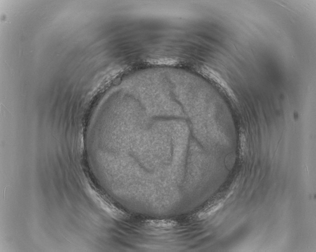 X0000088030541200706011352