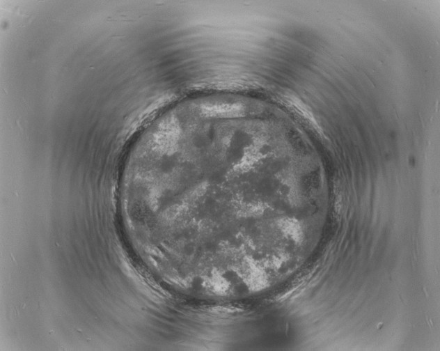 X0000088030542200706011352