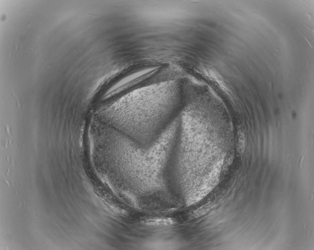 X0000088030543200706011352