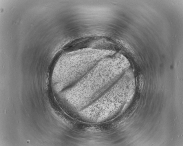 X0000088030544200706011352