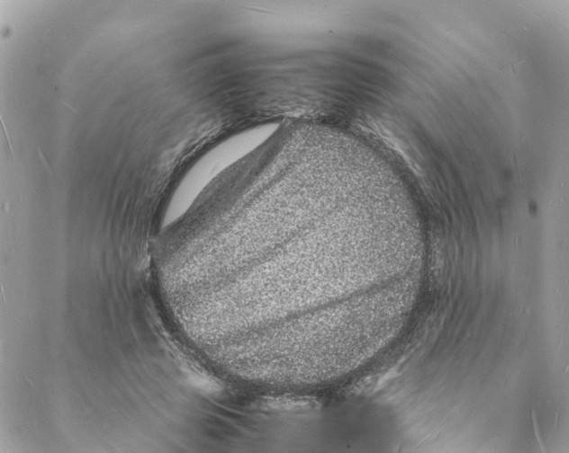 X0000088030545200706011352