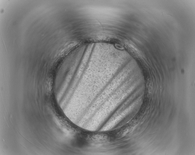 X0000088030546200706011352