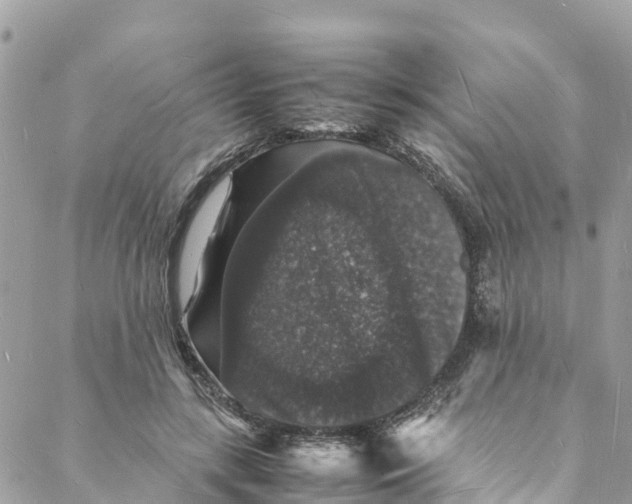 X0000088030547200706011352