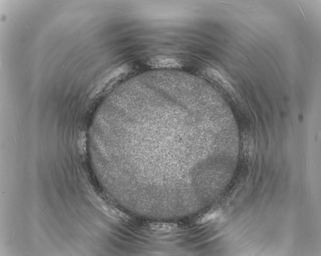 X0000088030549200706011352